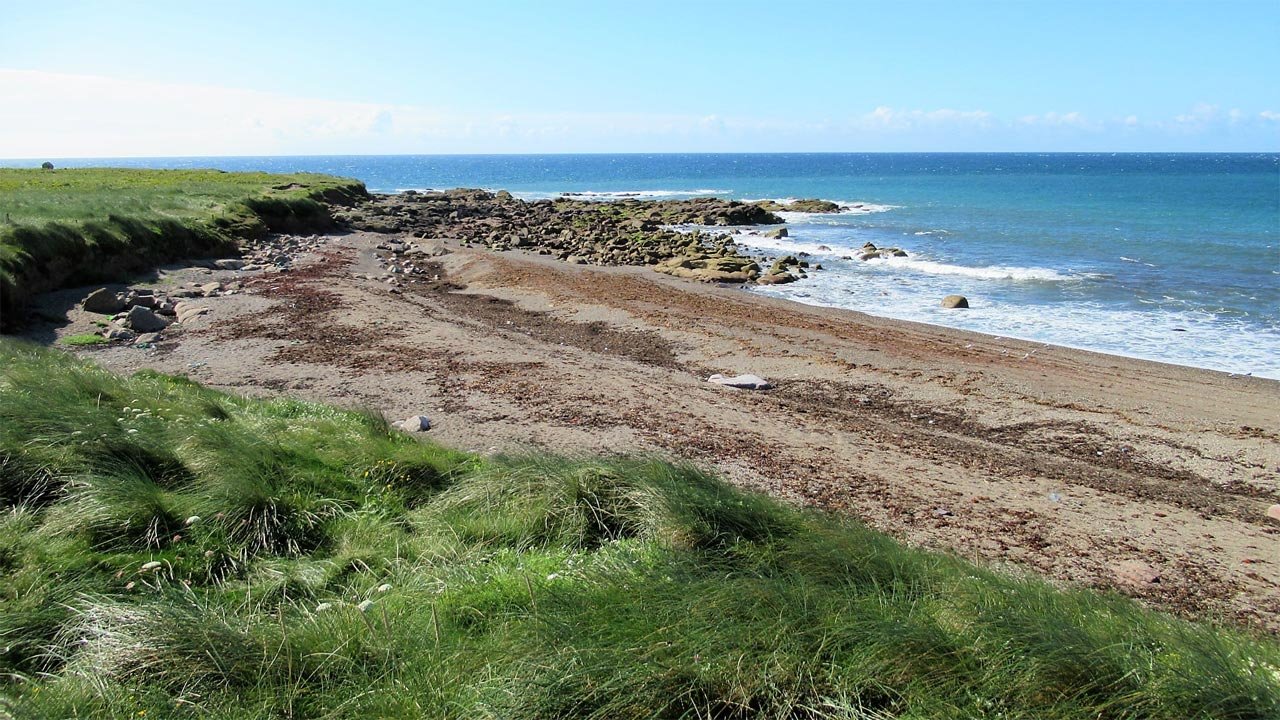 carnsore-point-special-area-of-conservation-south-wexford-coast