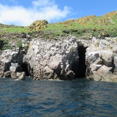 503 Sea caves at Saltee Island Great