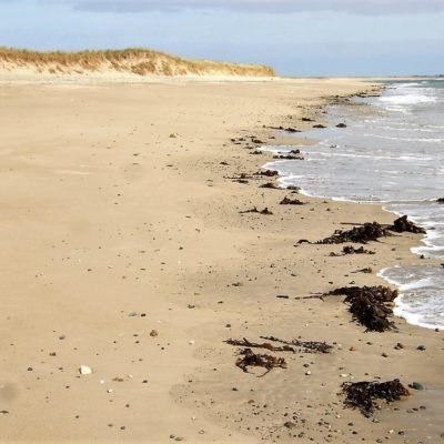 601 Sand beaches form erode and reform along Irelands Great Barrier Coast